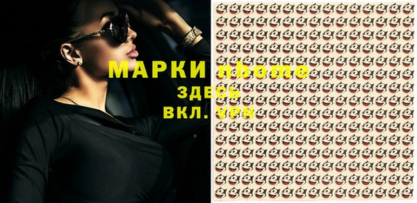 spice Алзамай
