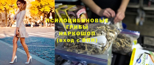 spice Алзамай