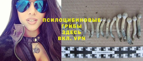 spice Алзамай