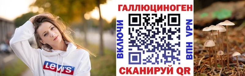купить   Жуковка  Галлюциногенные грибы прущие грибы 