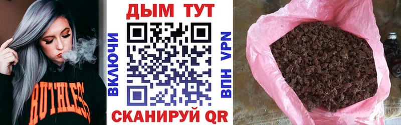 Шишки марихуана план  hydra ссылка  Жуковка 